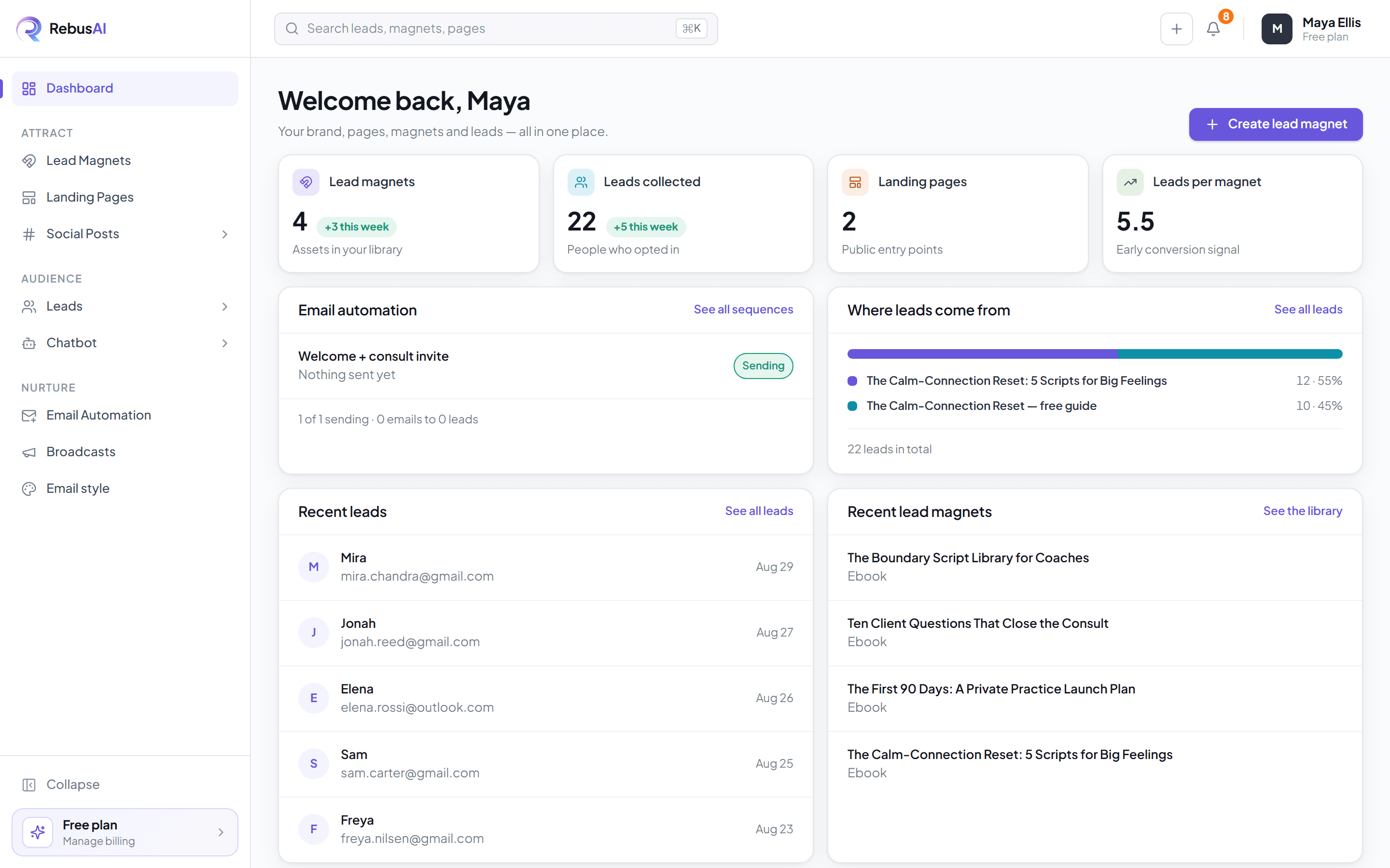 The RebusAI dashboard, showing lead magnets, leads collected, email automation and recent opt-ins